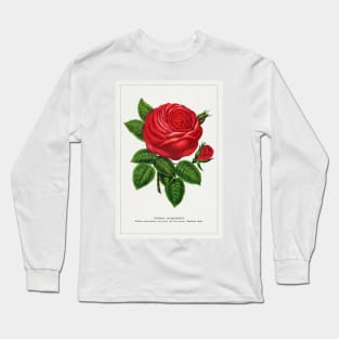 Red rose, General Jacquemont Flower Lithograph (1900) Long Sleeve T-Shirt